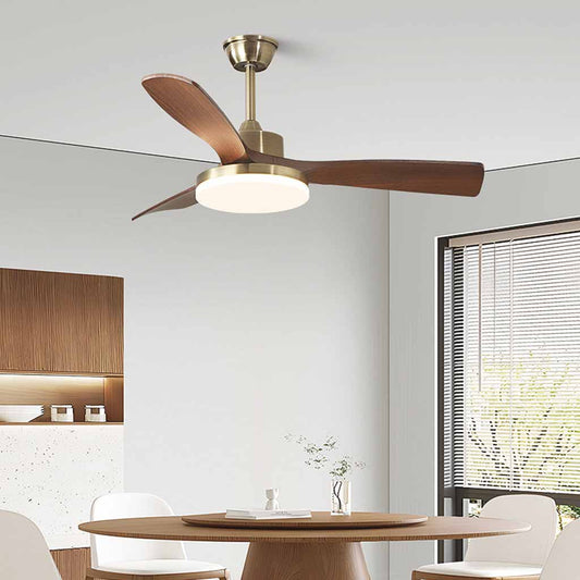 Ceiling Fan Light with LED vs Traditional Bulb Models: Which Lasts Longer?