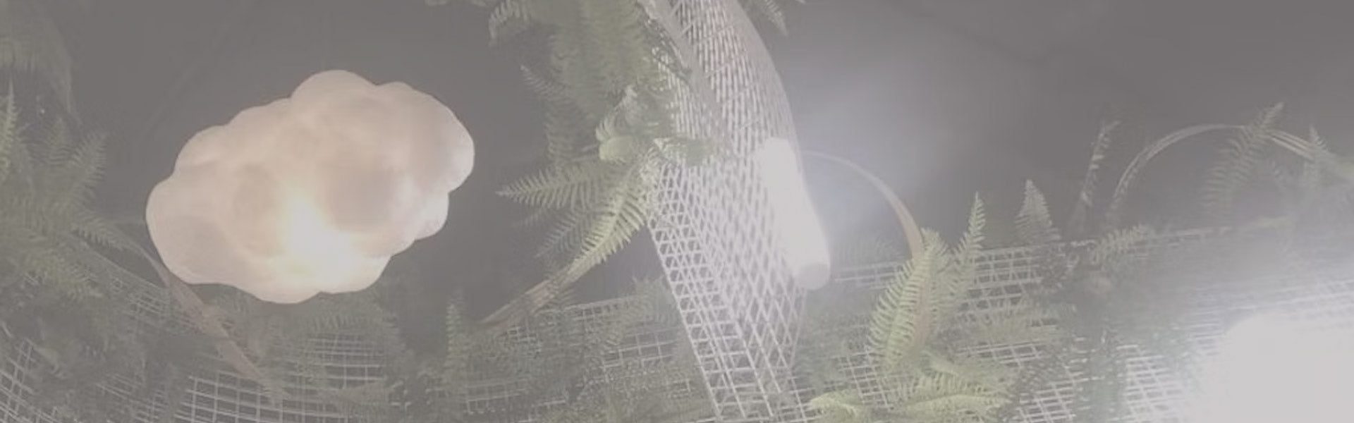 Cloud Lights