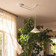 Justerbar Swing Arm Cone Pendelljus