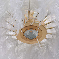 Artistic Ostrich Feahter Ceiling Light Interior