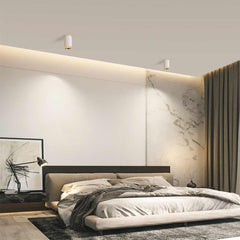 Ceiling Downlight Spotlight Bedroom