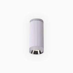Ceiling Downlight Spotlight Chrome