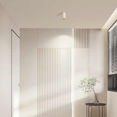 Ceiling Downlight Spotlight Foryer