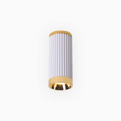 Ceiling Downlight Spotlight Gold