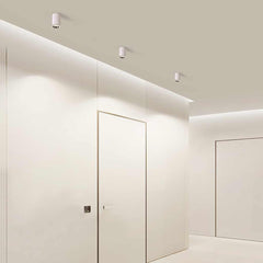 Ceiling Downlight Spotlight Hallway