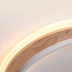 Ceiling Light Flush Mount Dimmable Round Shade