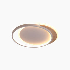 Ceiling Light Flush Mount Dimmable Round