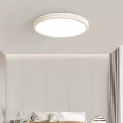 Ceiling Light Flush Mount Modern Minimalist Round LED Full Spectrum, 2 Colors