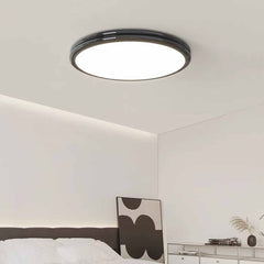 Ceiling Light Flush Mount Modern Minimalist Round LED Full Spectrum, 2 Colors