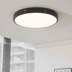 Ceiling Light Flush Mount Modern Minimalist Round LED Full Spectrum, 2 Colors