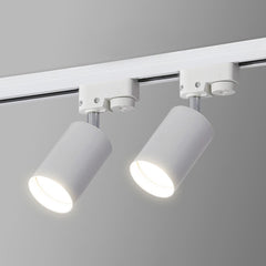 Ceiling Light Spotlight Track Linear Detail