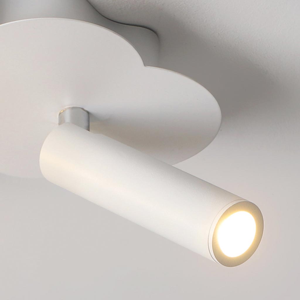 Ceiling Light with Spotlight