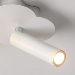 Ceiling Light with Spotlight