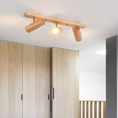 Ceiling Spotlight Simple LED 3 Heads Foyer