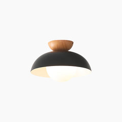 Ceilling Light Minimalist Iron Dome White