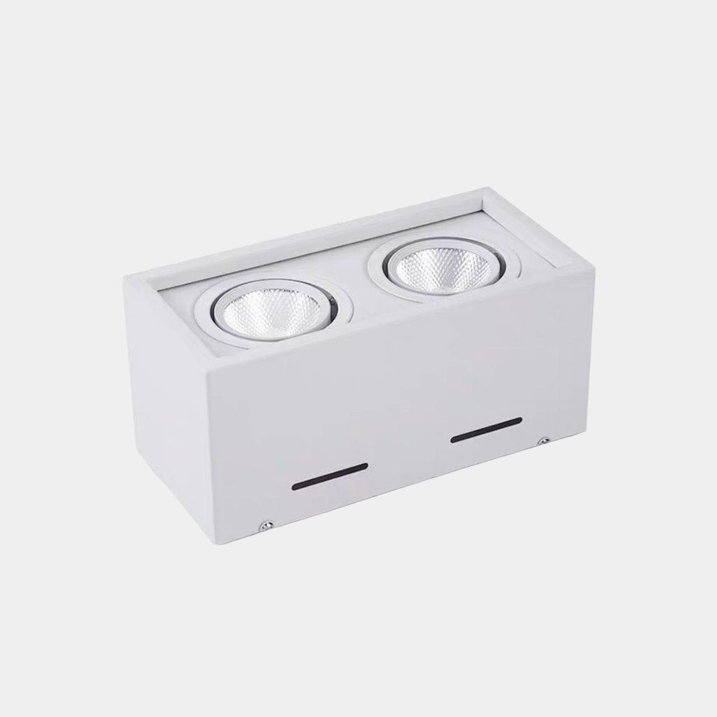Kocka alakú LED süllyesztett mennyezeti lámpa spotlámpákkal, fekete / fehér