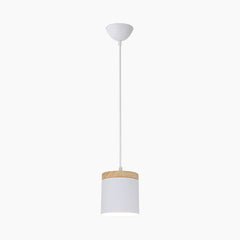 Cylinder Pendant Ceiling Light White