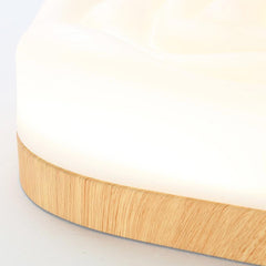 Flush Mount Ceiling Fan Light Nordic Rose Detail