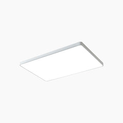 Flush Mount Ceiling Light Dimmable LED Rectangle