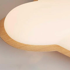 Flush Mount Ceiling Light Plane Acrylic LED for Children's Room