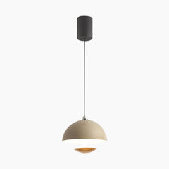 Induction Dome Pendant Light Griege