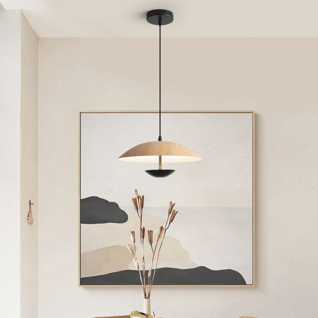 Minimalist Dish Shaped Pendant Light Hallway