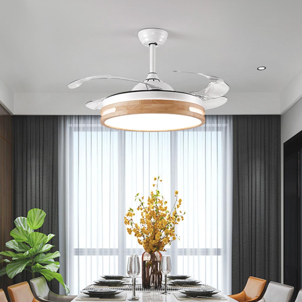 Nature Fans Modern Natural Wood Acrylic Ceiling Fan with Light | VAXLAMP