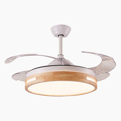 Modern Natural Wood Acrylic Ceiling Fan with Light Main A