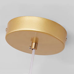 Pendant Chandelier Glass Globe Bubble Canopy