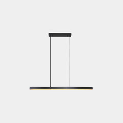 Pendant Light Brass Linear Dimmable LED Black Long Canopy
