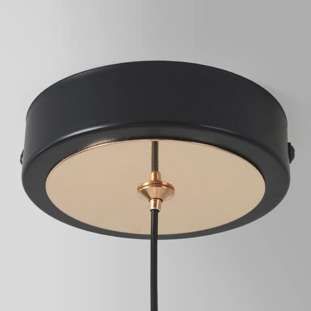 Pendant Light Magpie Bird Canopy