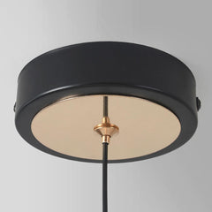Pendant Light Magpie Bird Canopy