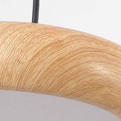 Pendant Light Minimalist Disc LED Shade