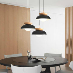 Pendant Light Minimalist Iron Dome Black Dining Room