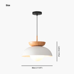 Pendant Light Minimalist Iron Dome Size