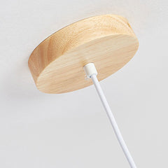 Pendant Light Spotlight Cylinder Tube Log Color Canopy