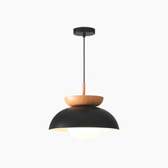 Pendant Minimalist Iron Dome Black