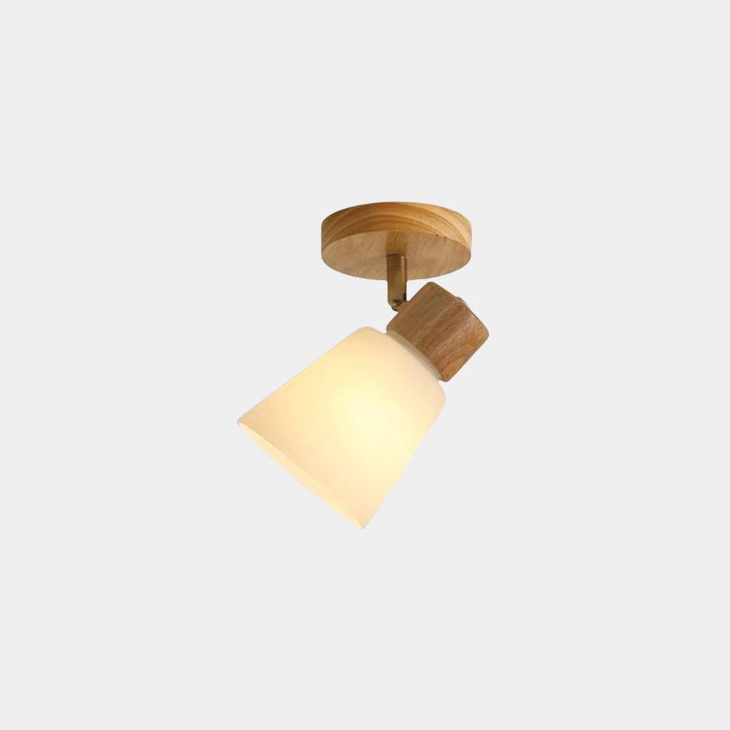 Semi Flush Ceiling Light Wood Track Spotlight 1