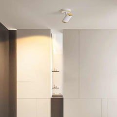 Spotlight Fashion Adjustable LED Gold Hallway