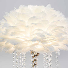 Stylish Feather Floor Lamp with Crystal Tassels Detail