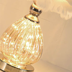 Cute Teardrop Glass Feather Table Lamp Glass